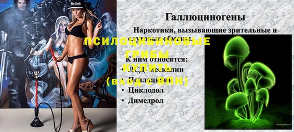 твердый Алзамай