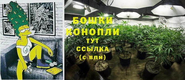 твердый Абаза