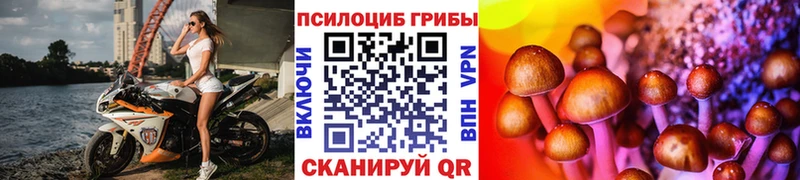 ссылка на мегу   Северодвинск  Псилоцибиновые грибы Magic Shrooms  купить наркотики цена 
